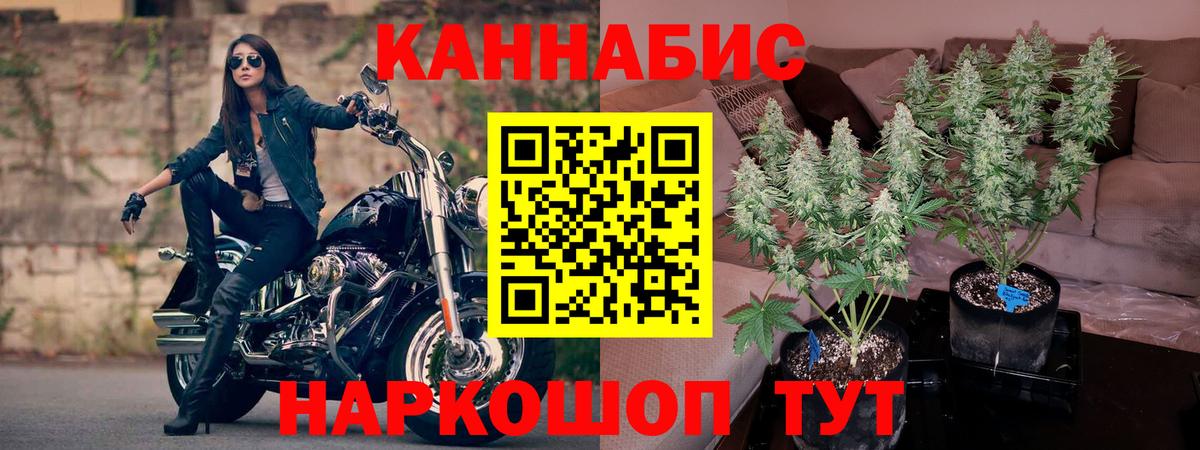 Бошки марихуана Bruce Banner Старая Русса